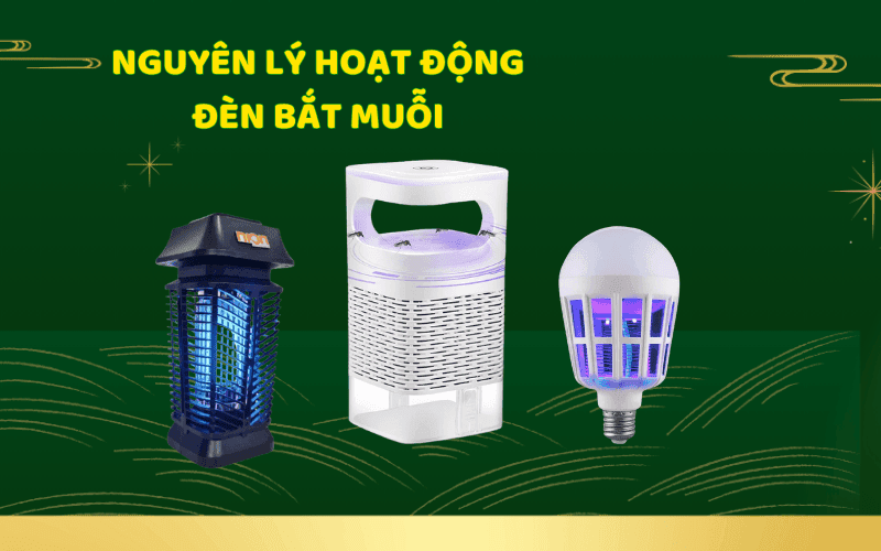 Nguyên lí hoạt động của đèn bắt muỗi