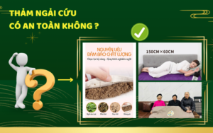 Thảm Ngải Cứu Có An Toàn?