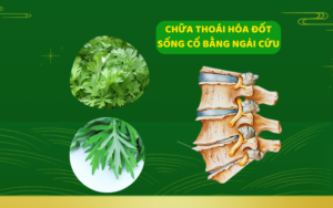 chua-thoai-hoa-dot-song-co-bang-ngai-cuu